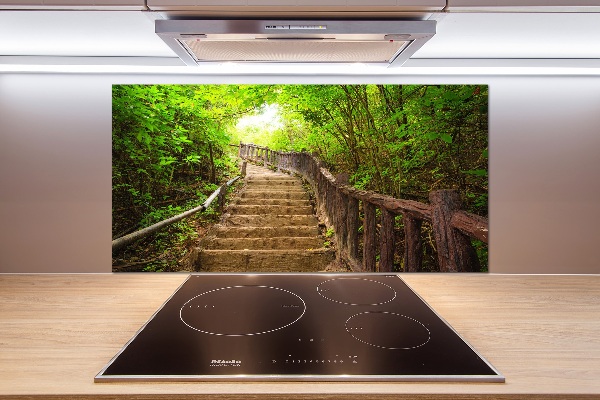 Kitchen splashback Stairs in the forest