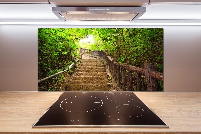 Kitchen splashback Stairs in the forest