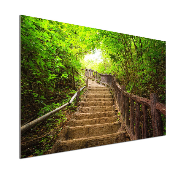 Kitchen splashback Stairs in the forest