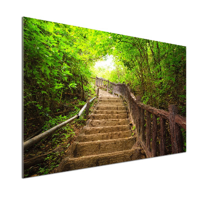 Kitchen splashback Stairs in the forest