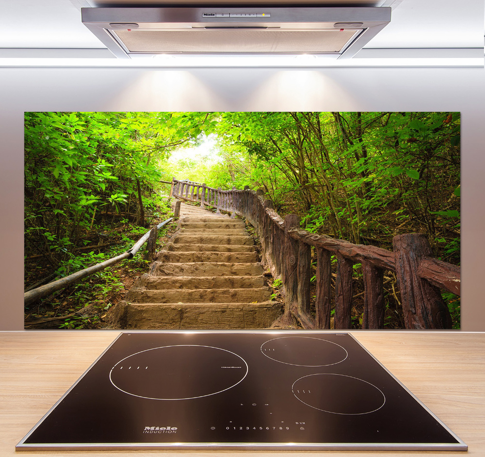 Kitchen splashback Stairs in the forest