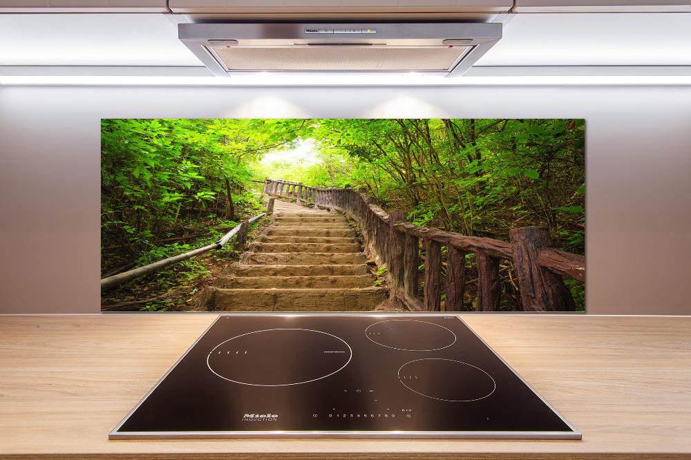 Kitchen splashback Stairs in the forest