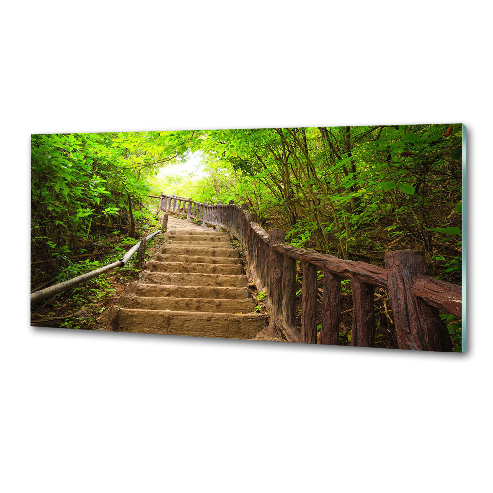 Kitchen splashback Stairs in the forest