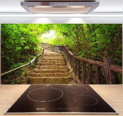 Kitchen splashback Stairs in the forest