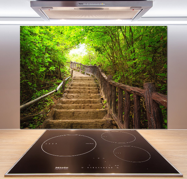 Kitchen splashback Stairs in the forest