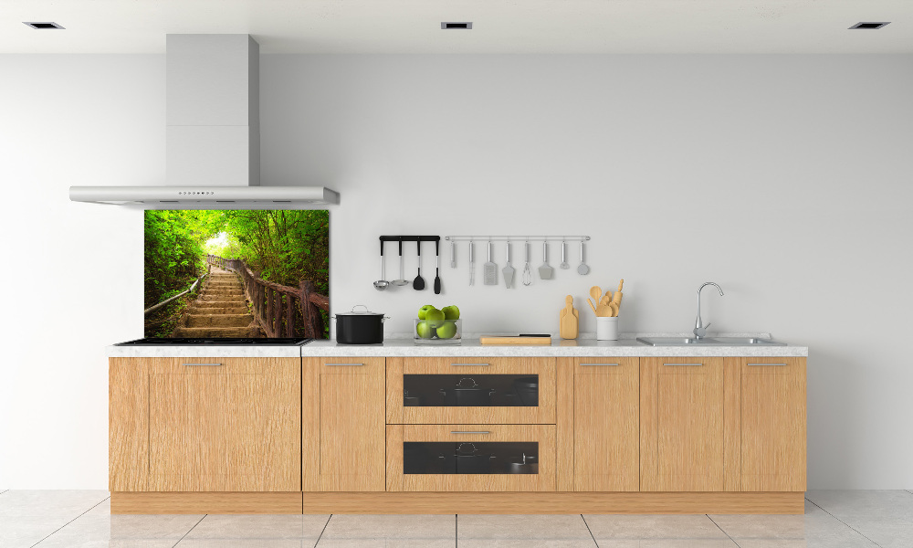 Kitchen splashback Stairs in the forest