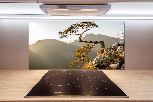 Glass splashback Sokolica Pieniny