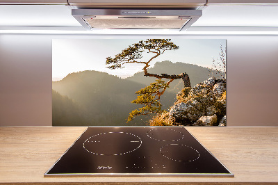 Glass splashback Sokolica Pieniny