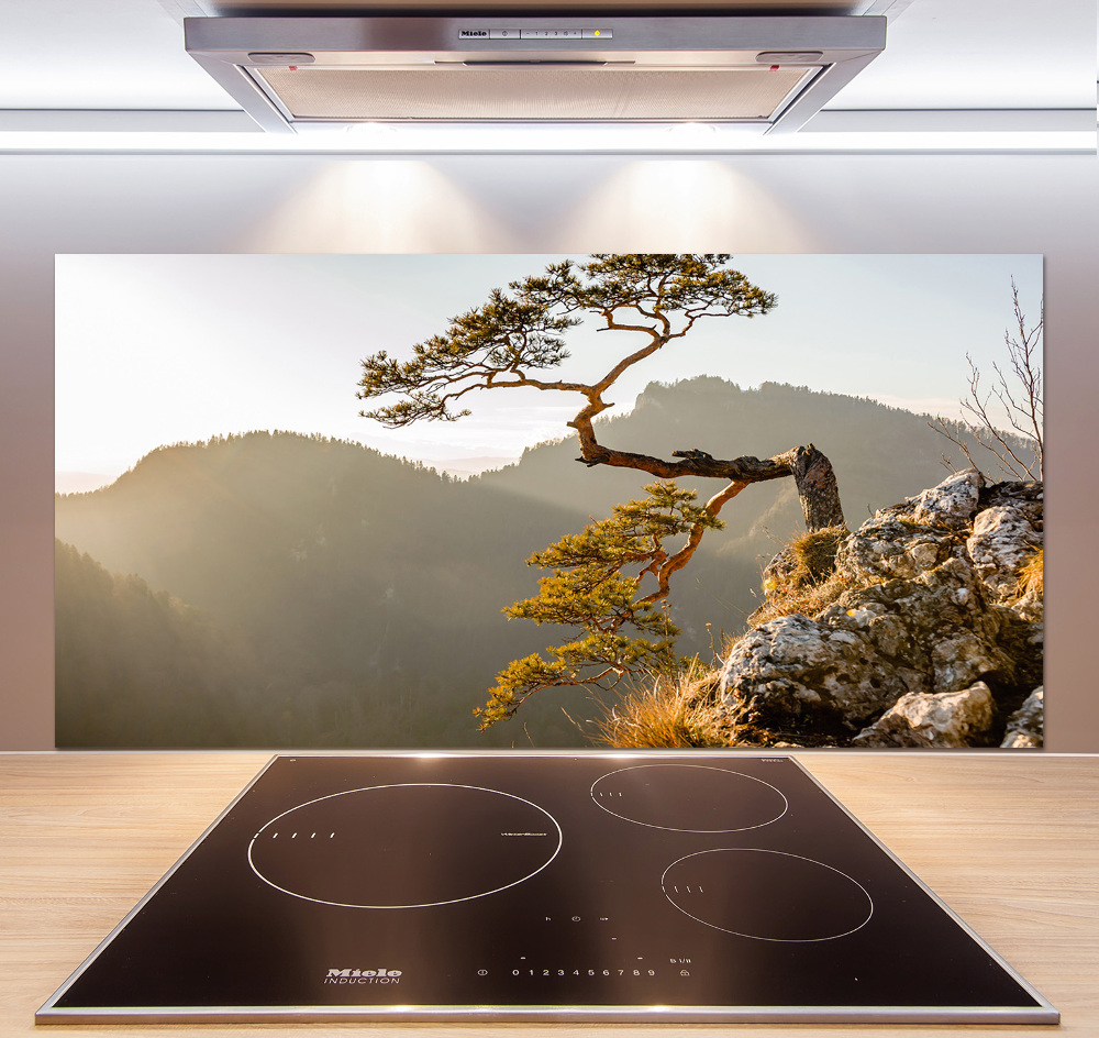 Glass splashback Sokolica Pieniny