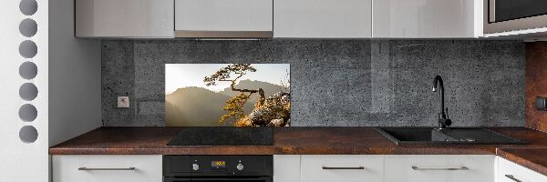 Glass splashback Sokolica Pieniny