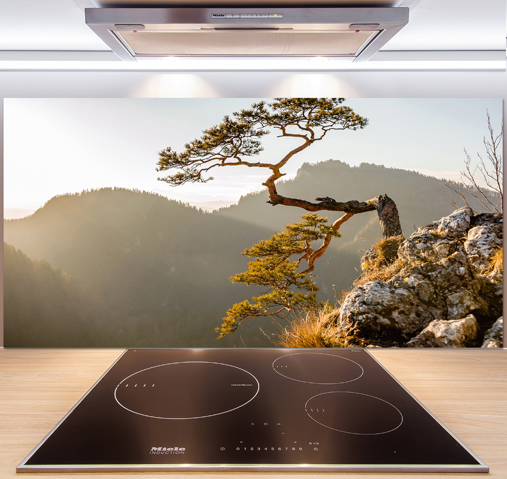 Glass splashback Sokolica Pieniny