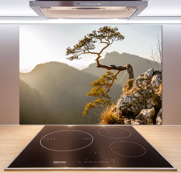 Glass splashback Sokolica Pieniny