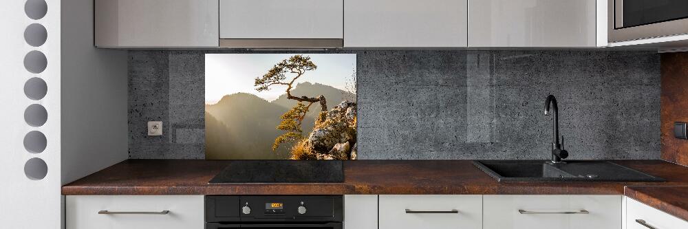 Glass splashback Sokolica Pieniny