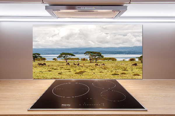 Kitchen splashback Naivasha Lake