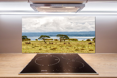 Kitchen splashback Naivasha Lake