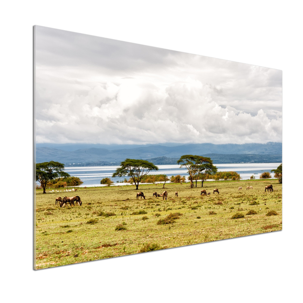 Kitchen splashback Naivasha Lake