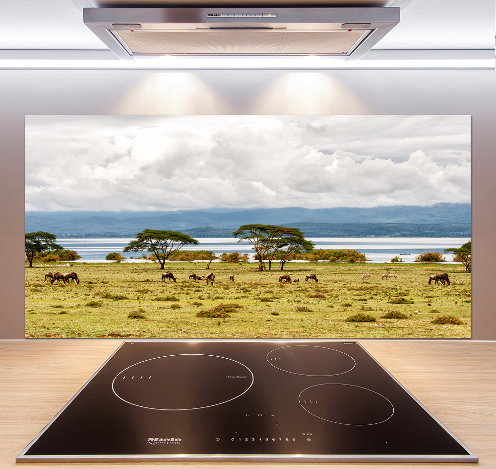 Kitchen splashback Naivasha Lake