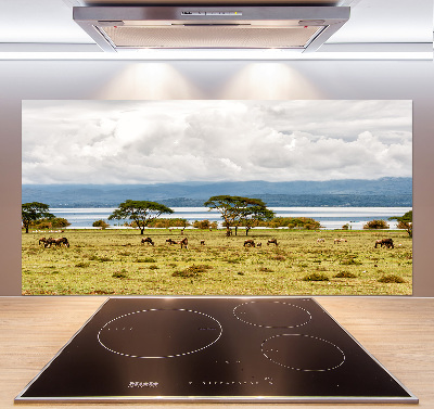 Kitchen splashback Naivasha Lake