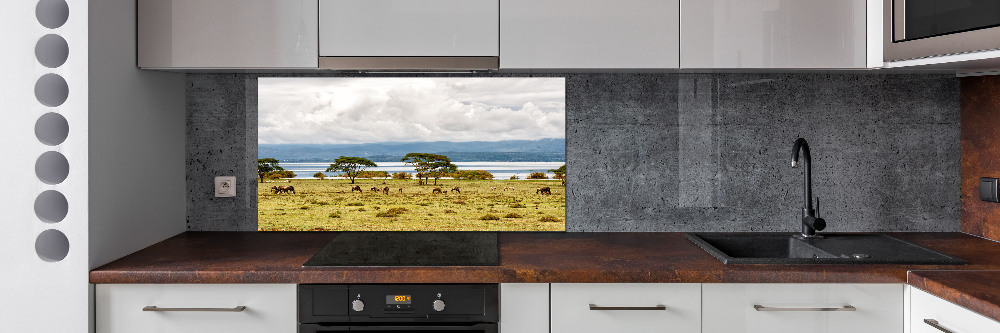 Kitchen splashback Naivasha Lake