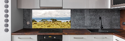 Kitchen splashback Naivasha Lake