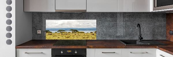 Kitchen splashback Naivasha Lake