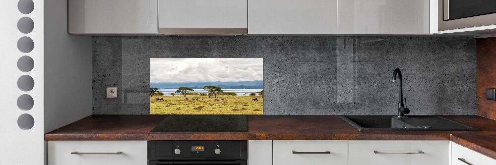 Kitchen splashback Naivasha Lake