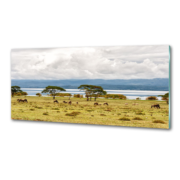 Kitchen splashback Naivasha Lake