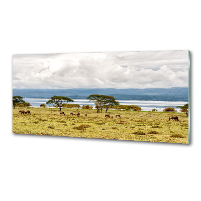 Kitchen splashback Naivasha Lake