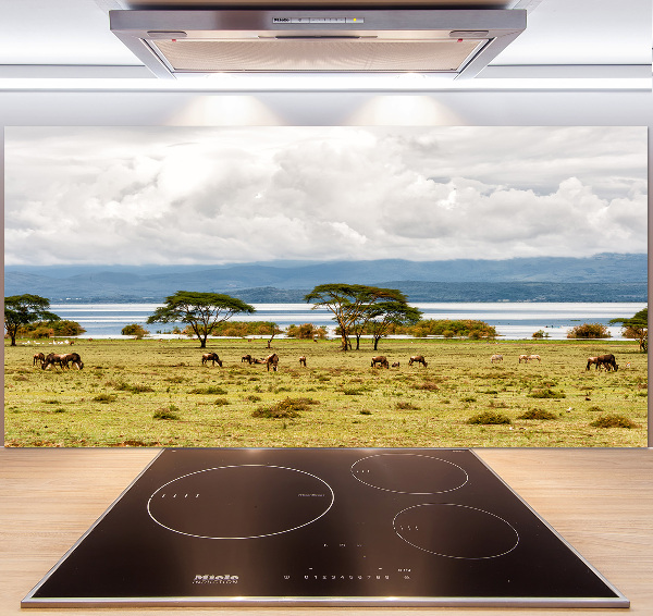 Kitchen splashback Naivasha Lake