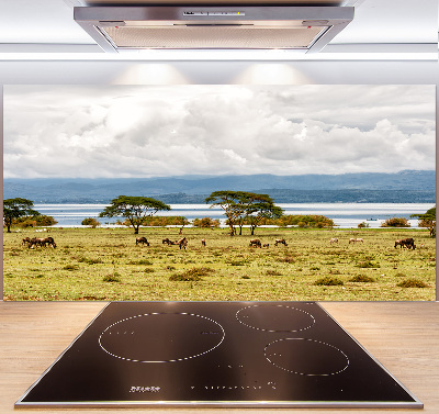 Kitchen splashback Naivasha Lake