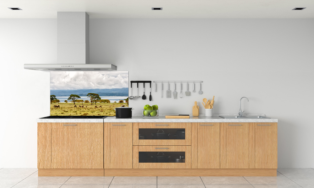 Kitchen splashback Naivasha Lake