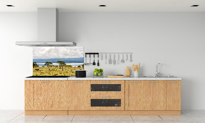 Kitchen splashback Naivasha Lake