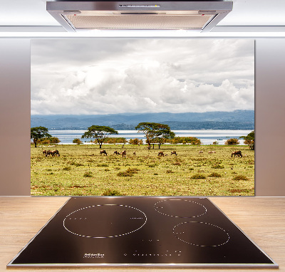 Kitchen splashback Naivasha Lake