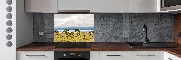 Kitchen splashback Naivasha Lake