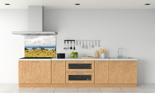 Kitchen splashback Naivasha Lake