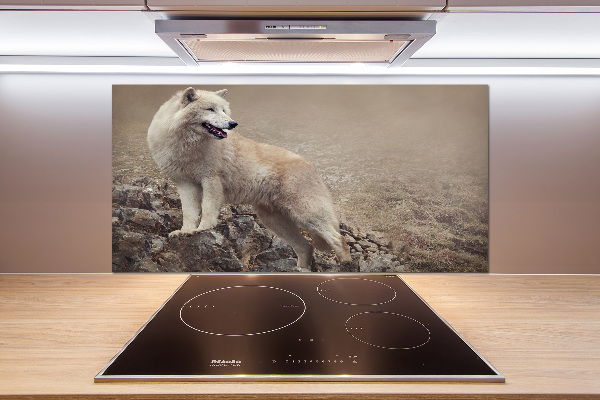 Glass splashback White wolf on the rock