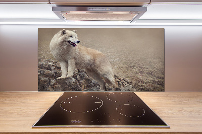 Glass splashback White wolf on the rock