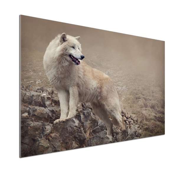 Glass splashback White wolf on the rock