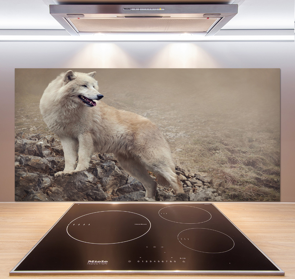 Glass splashback White wolf on the rock