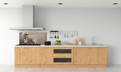 Glass splashback White wolf on the rock