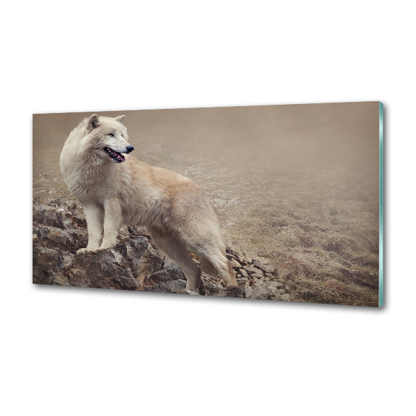 Glass splashback White wolf on the rock