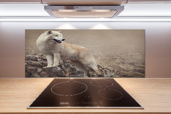 Glass splashback White wolf on the rock