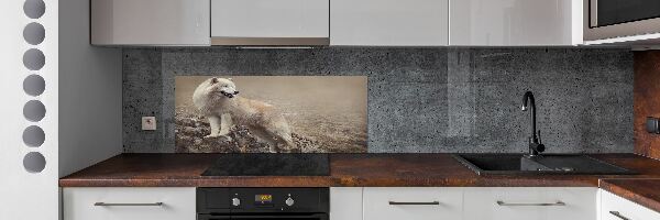 Glass splashback White wolf on the rock