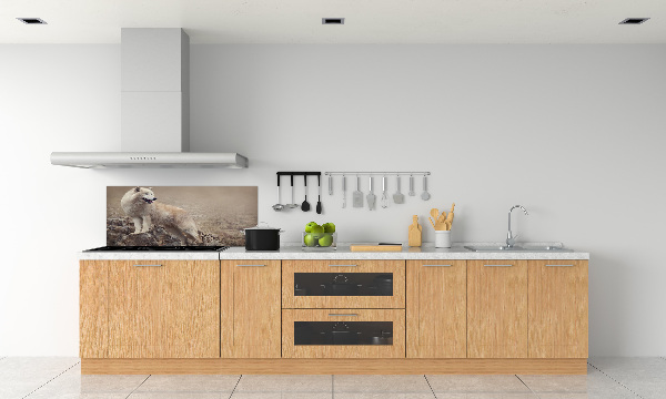 Glass splashback White wolf on the rock