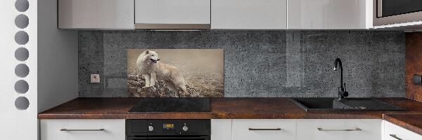 Glass splashback White wolf on the rock