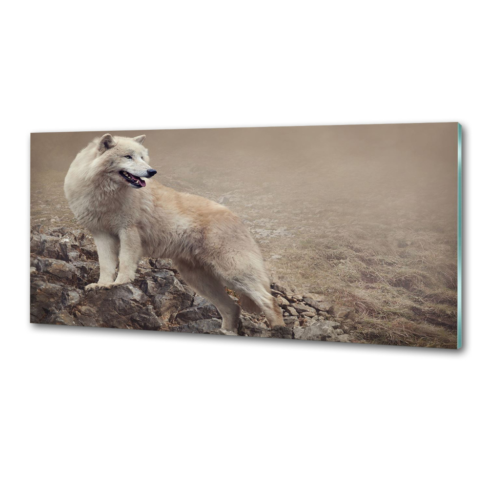 Glass splashback White wolf on the rock