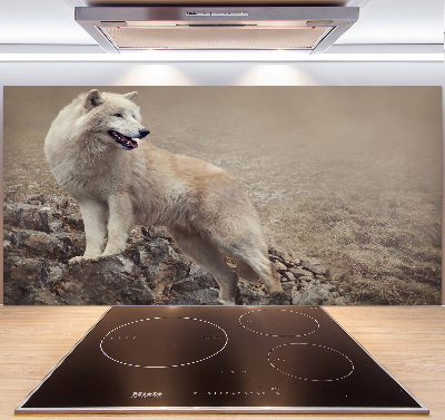 Glass splashback White wolf on the rock