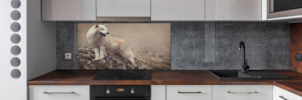 Glass splashback White wolf on the rock