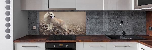 Glass splashback White wolf on the rock