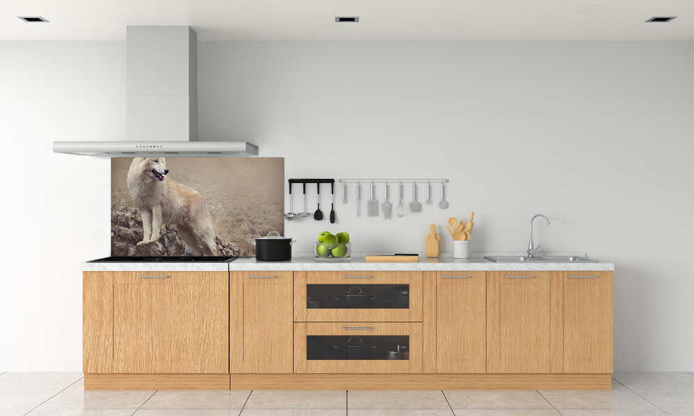 Glass splashback White wolf on the rock